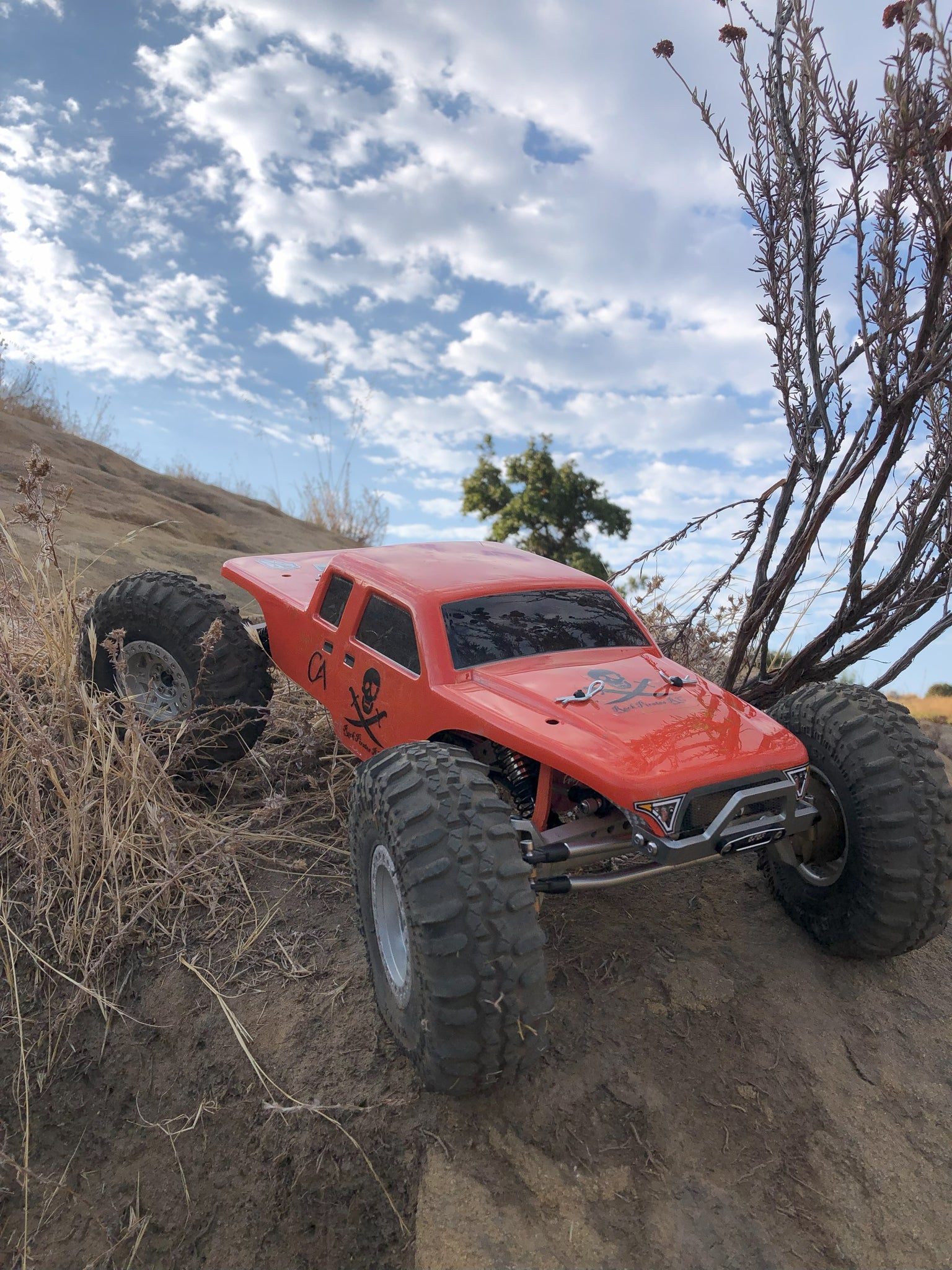 Pirate Rc Racing Rock Pirates RC Rock Crawler Parts, Accessories, and Swag