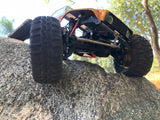 TRIDENT BODY GRILL & LIGHTS