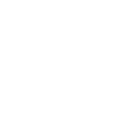 Rock Pirates